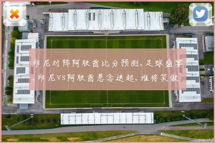 印尼对阵阿联酋比分预测,足球盛宴,印尼vs阿联酋悬念迭起,谁将笑傲绿茵场